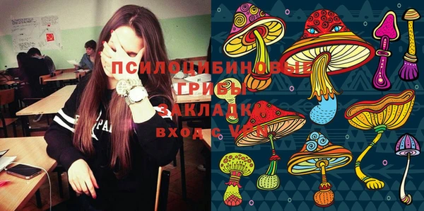 таблы Медногорск